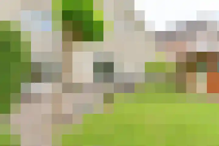 Grijze Snip 24 Emmen thumbnail 94