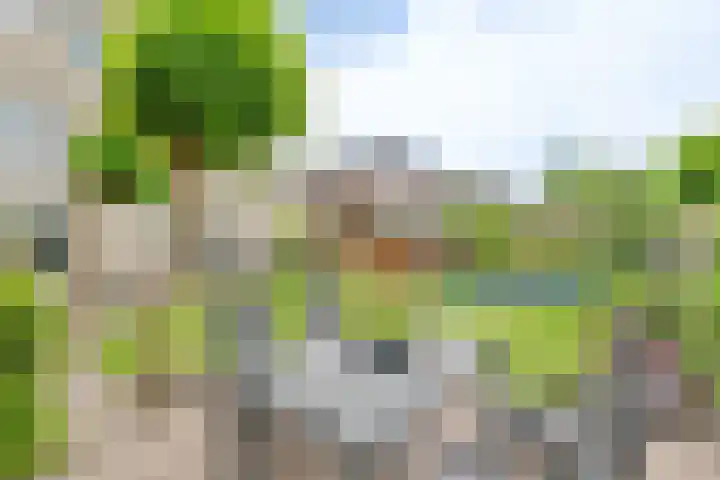 Grijze Snip 24 Emmen thumbnail 95