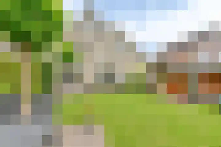 Grijze Snip 24 Emmen thumbnail 96