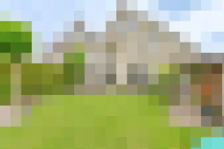 Grijze Snip 24 Emmen thumbnail 97