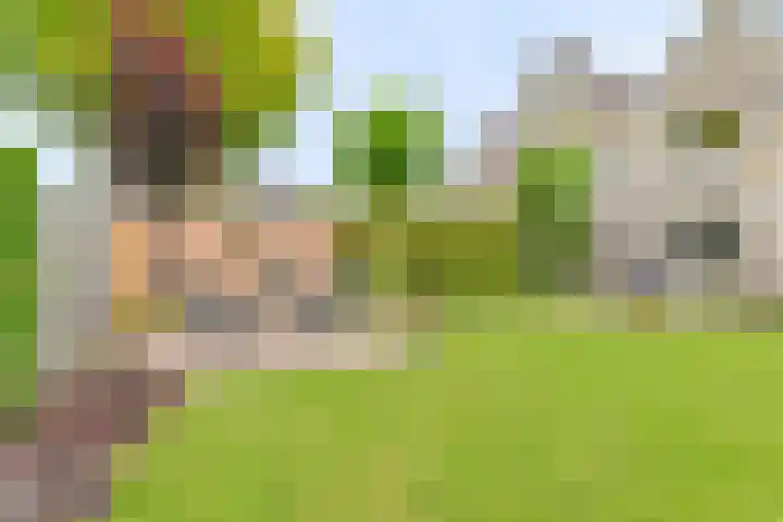 Grijze Snip 24 Emmen thumbnail 98