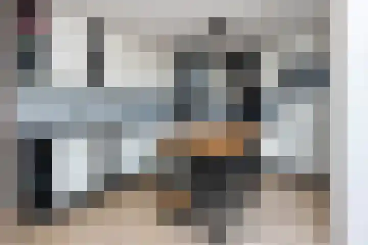 Grijze Snip 41 Emmen thumbnail 10