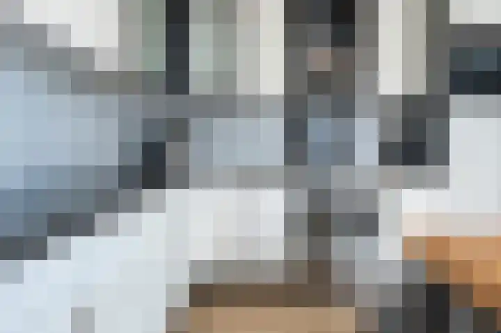 Grijze Snip 41 Emmen thumbnail 11