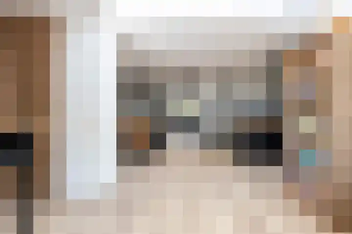 Grijze Snip 41 Emmen thumbnail 12