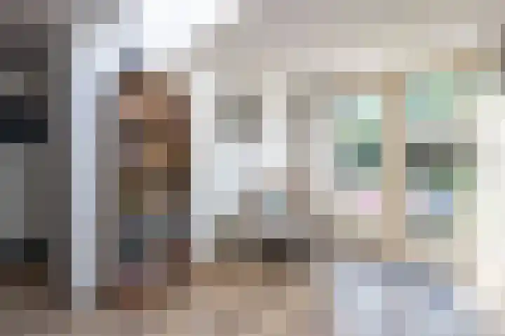 Grijze Snip 41 Emmen thumbnail 13