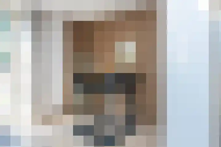 Grijze Snip 41 Emmen thumbnail 14