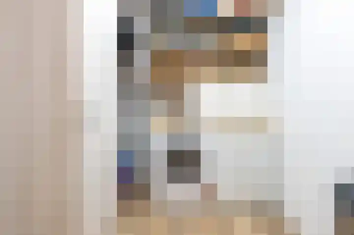 Grijze Snip 41 Emmen thumbnail 15