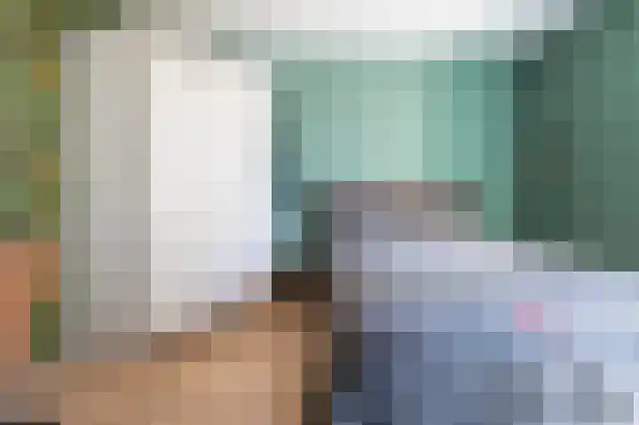 Grijze Snip 41 Emmen thumbnail 16