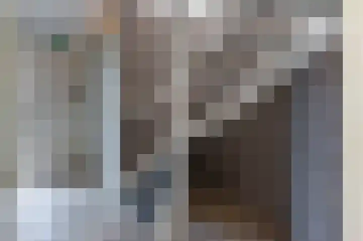Grijze Snip 41 Emmen thumbnail 18