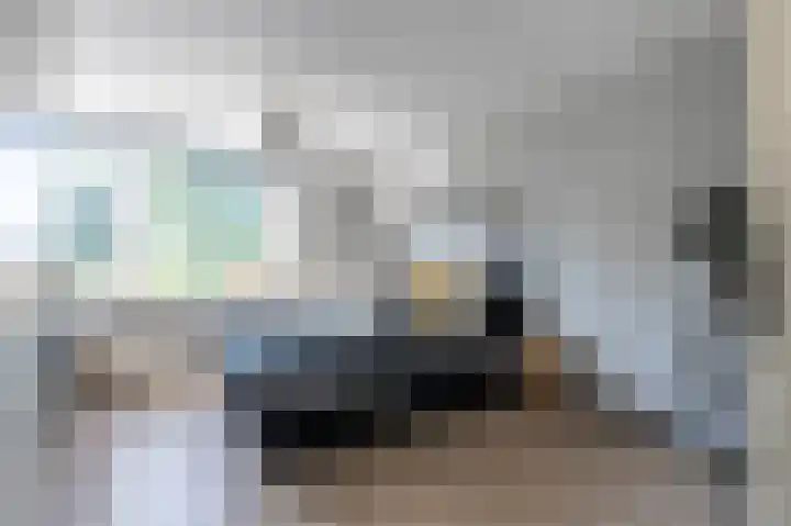 Grijze Snip 41 Emmen thumbnail 19