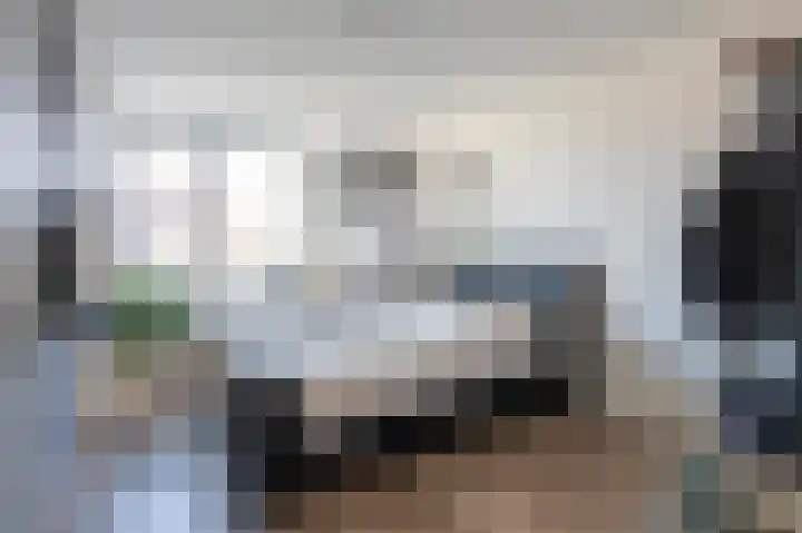 Grijze Snip 41 Emmen thumbnail 21