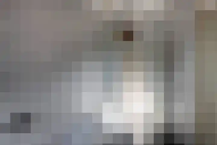 Grijze Snip 41 Emmen thumbnail 23