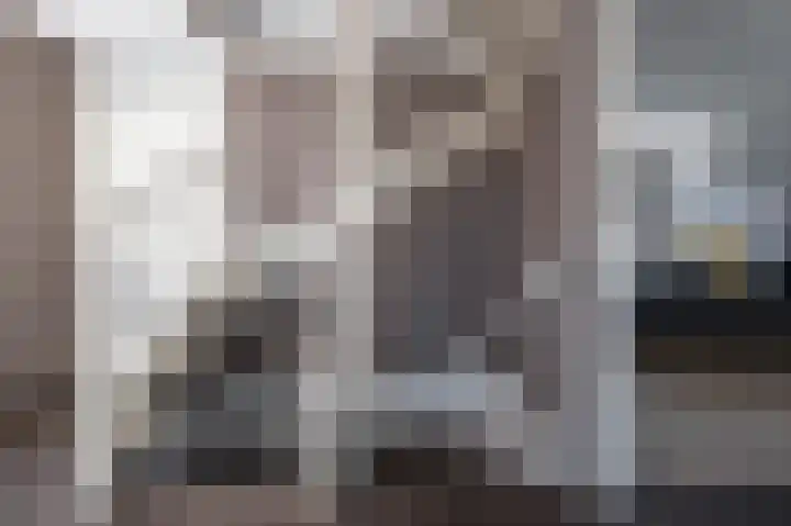 Grijze Snip 41 Emmen thumbnail 24
