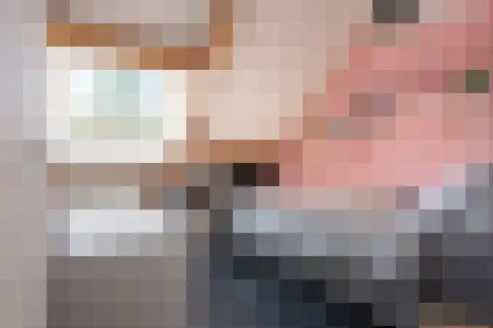 Grijze Snip 41 Emmen thumbnail 25