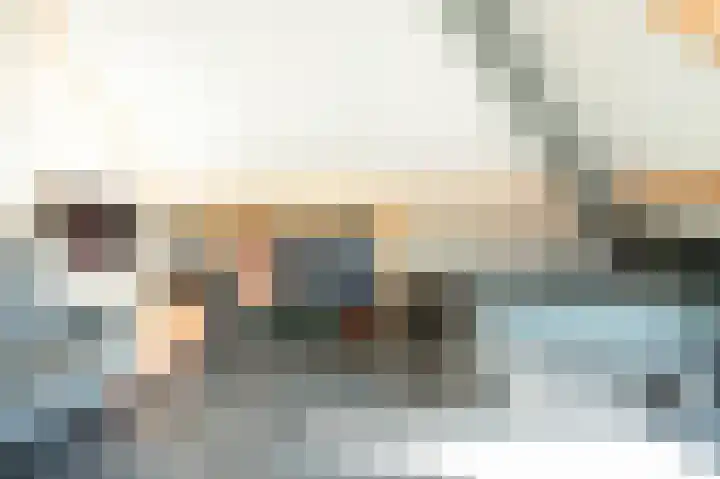 Grijze Snip 41 Emmen thumbnail 26