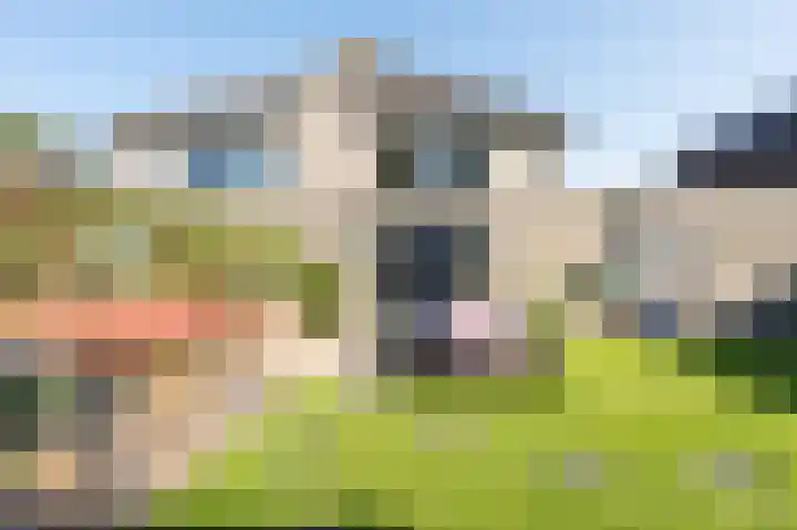 Grijze Snip 41 Emmen thumbnail 27