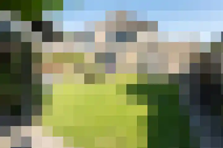 Grijze Snip 41 Emmen thumbnail 28