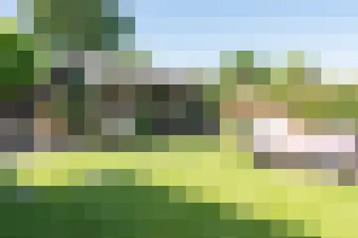 Grijze Snip 41 Emmen thumbnail 29