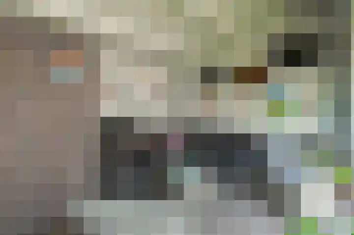 Grijze Snip 41 Emmen thumbnail 30