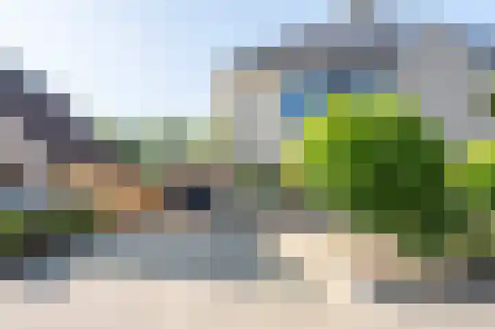 Grijze Snip 41 Emmen thumbnail 31