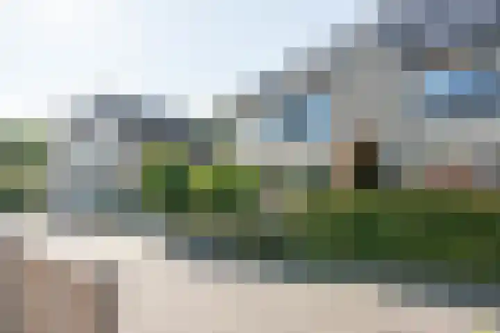 Grijze Snip 41 Emmen thumbnail 33