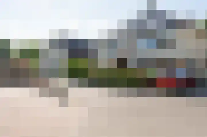 Grijze Snip 41 Emmen thumbnail 34