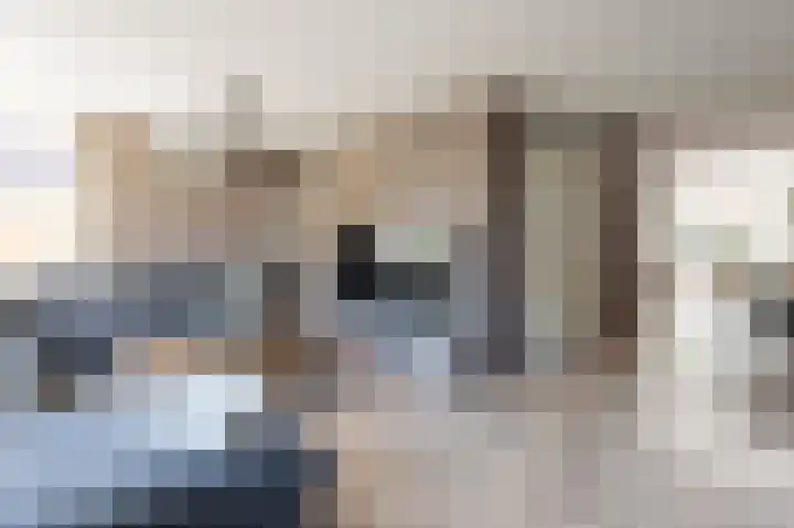 Grijze Snip 41 Emmen thumbnail 4