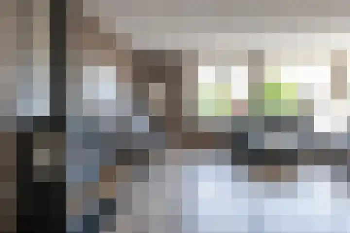 Grijze Snip 41 Emmen thumbnail 5