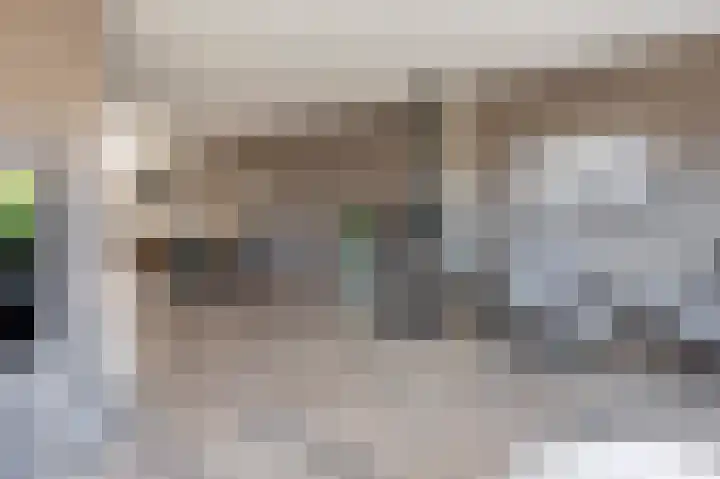 Grijze Snip 41 Emmen thumbnail 6