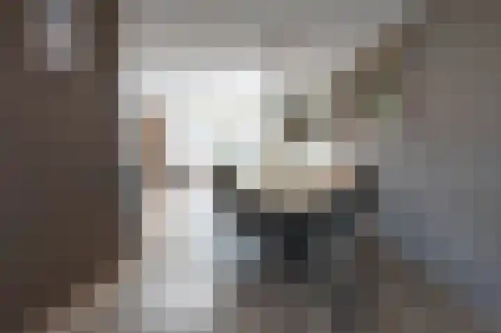 Grijze Snip 41 Emmen thumbnail 7