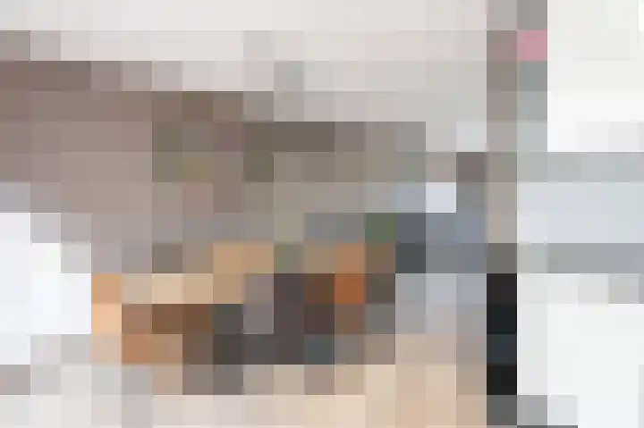 Grijze Snip 41 Emmen thumbnail 8