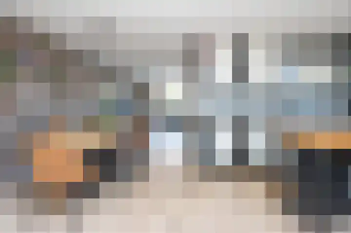 Grijze Snip 41 Emmen thumbnail 9