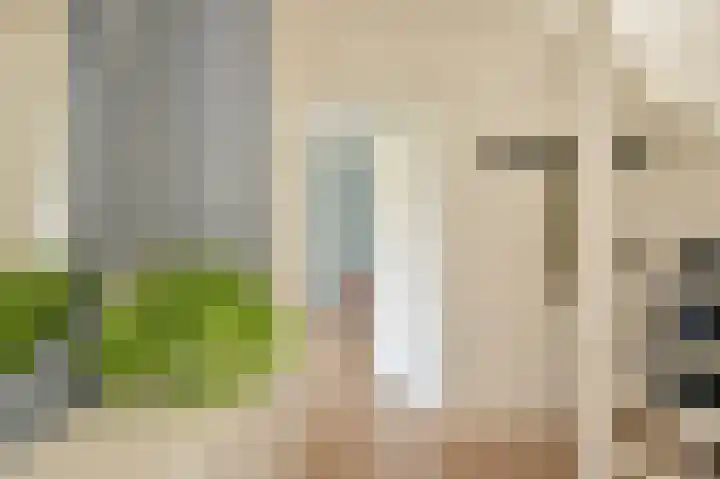 Grijze Snip 7 Emmen thumbnail 10