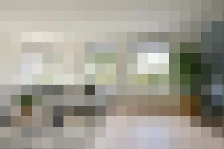Grijze Snip 7 Emmen thumbnail 13