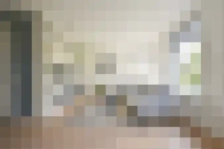 Grijze Snip 7 Emmen thumbnail 14