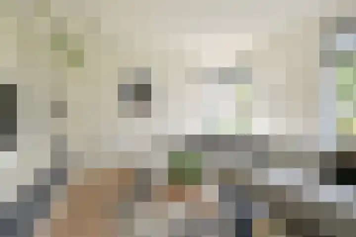 Grijze Snip 7 Emmen thumbnail 15