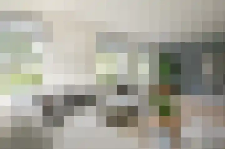 Grijze Snip 7 Emmen thumbnail 16