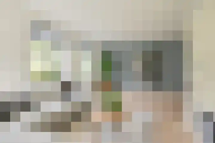 Grijze Snip 7 Emmen thumbnail 17
