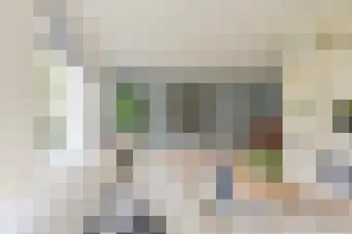 Grijze Snip 7 Emmen thumbnail 18