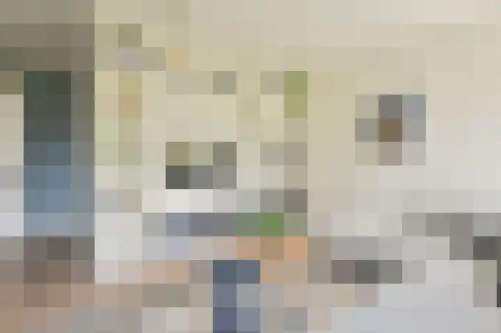 Grijze Snip 7 Emmen thumbnail 19