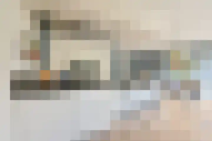 Grijze Snip 7 Emmen foto 2