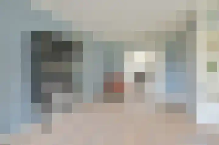 Grijze Snip 7 Emmen thumbnail 20
