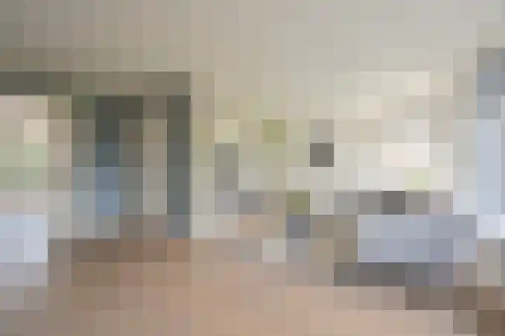Grijze Snip 7 Emmen thumbnail 21