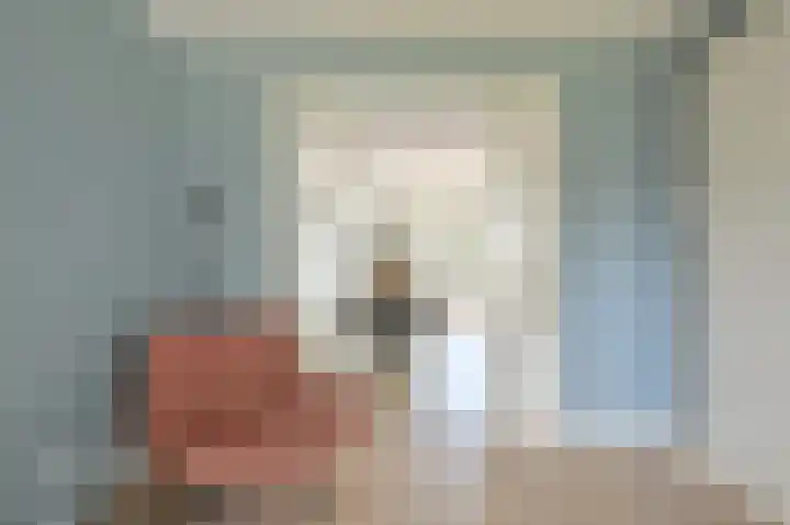 Grijze Snip 7 Emmen thumbnail 22