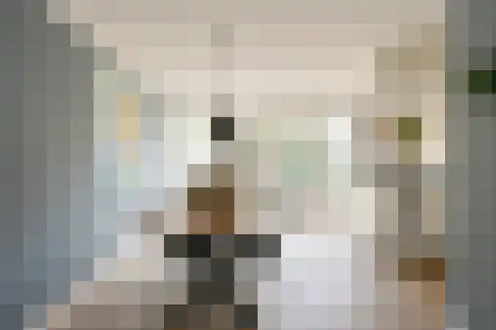 Grijze Snip 7 Emmen thumbnail 23