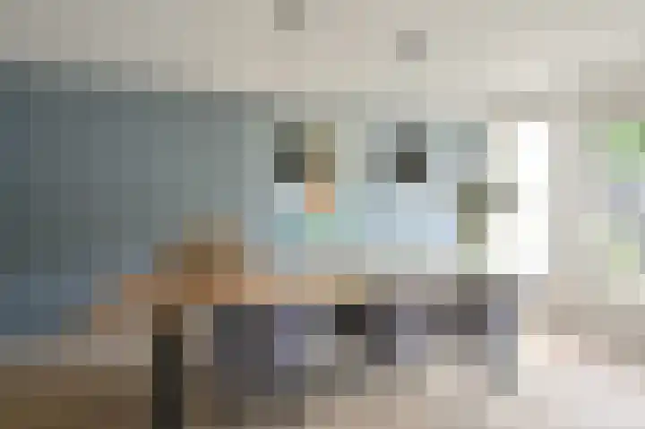 Grijze Snip 7 Emmen thumbnail 24