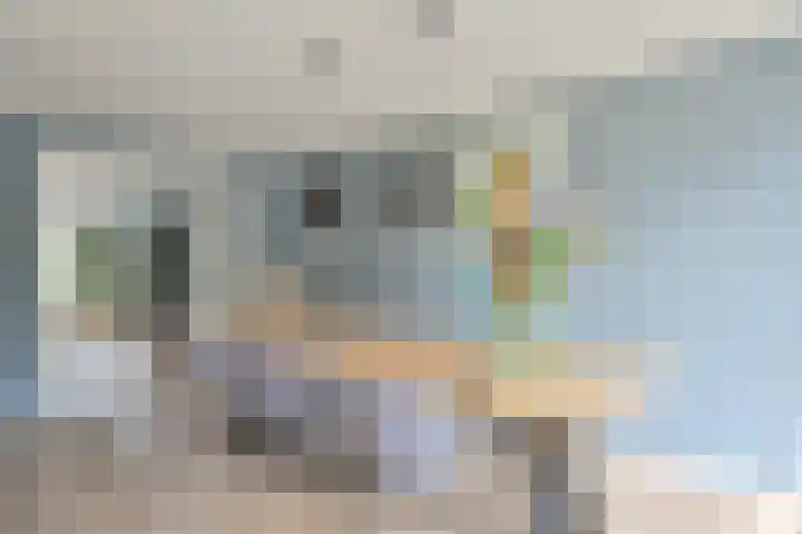 Grijze Snip 7 Emmen thumbnail 25