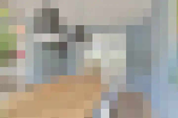 Grijze Snip 7 Emmen thumbnail 26