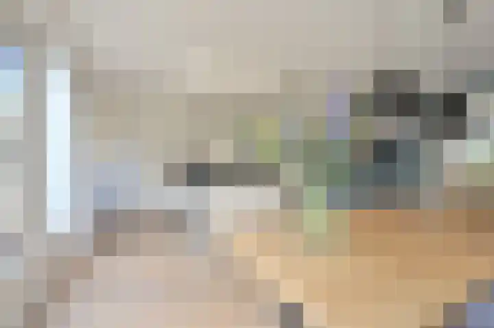 Grijze Snip 7 Emmen thumbnail 27