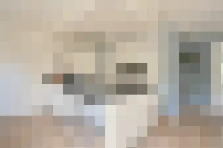 Grijze Snip 7 Emmen thumbnail 28
